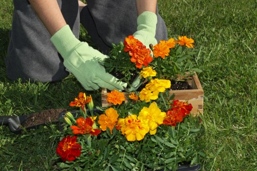 Supervisor inspecting a garden during an investigation