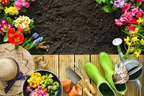 Team of Gardening Maida Vale professionals at work