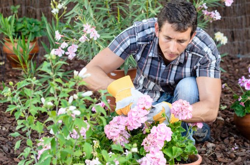 Gardening crew implementing corrective work in a garden